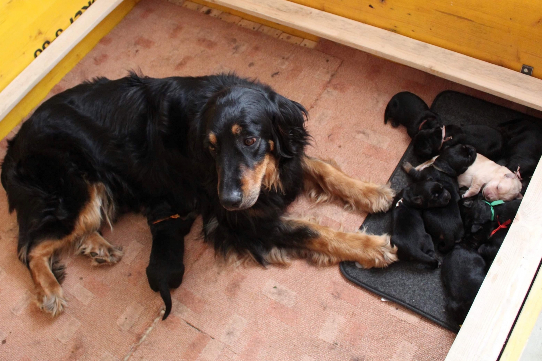 95221341_229874588114980_6818326127895904256_n