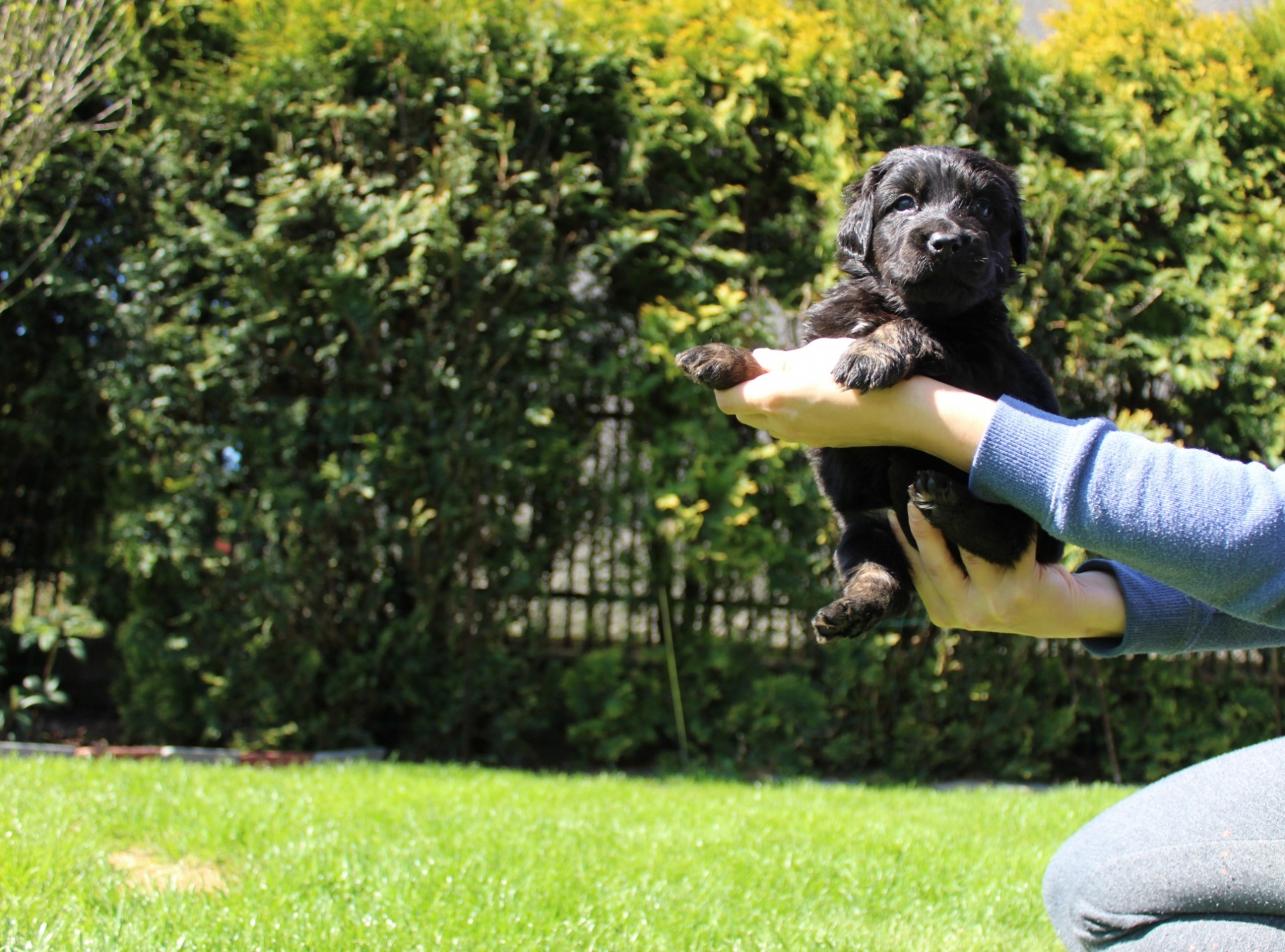 Aga Bella Bafoco (2)