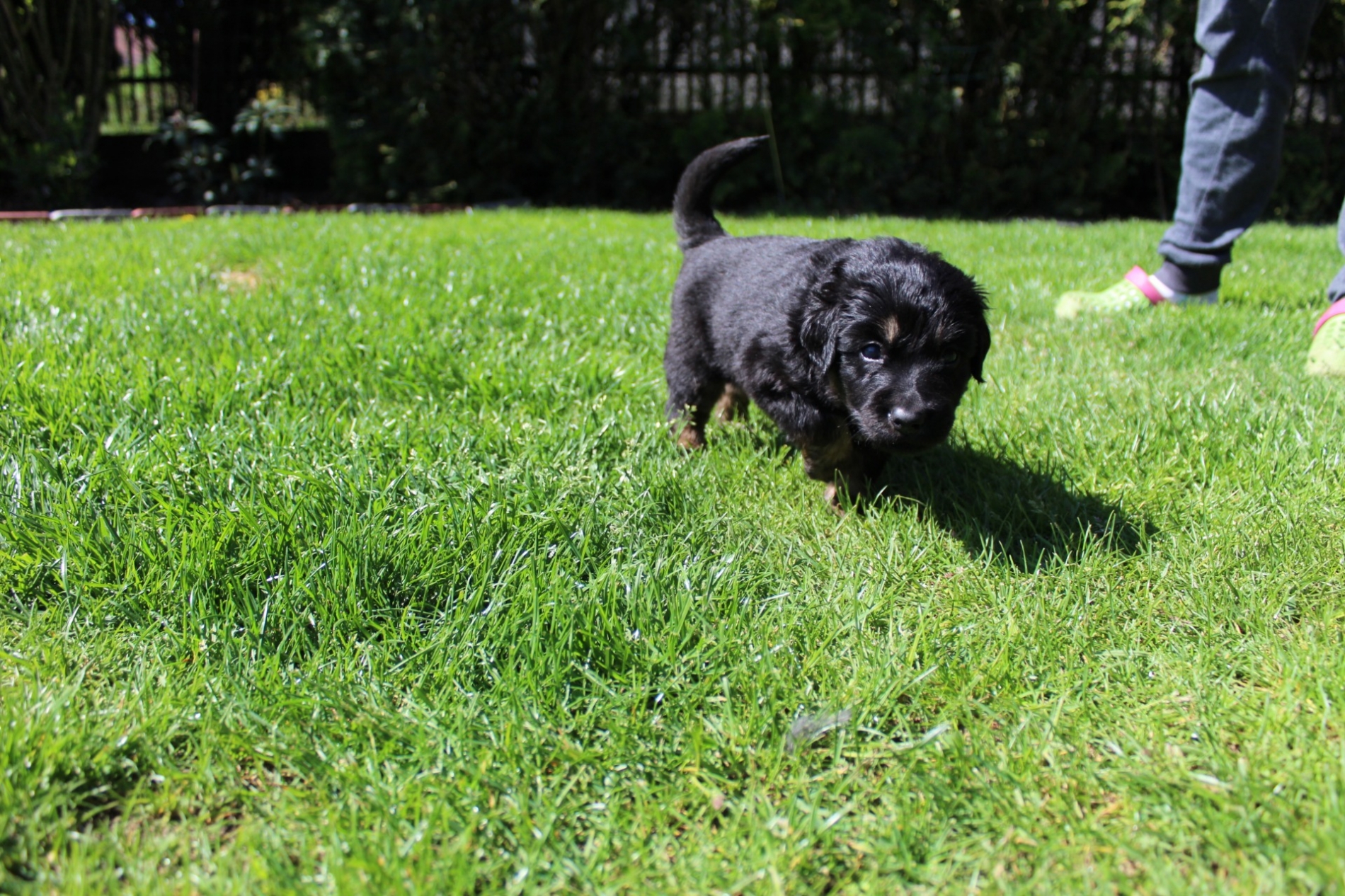 Anthony Oskar Bafoco (3)