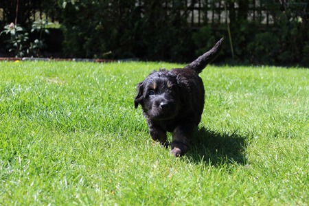 Ashley Leticia Bafoco (6)