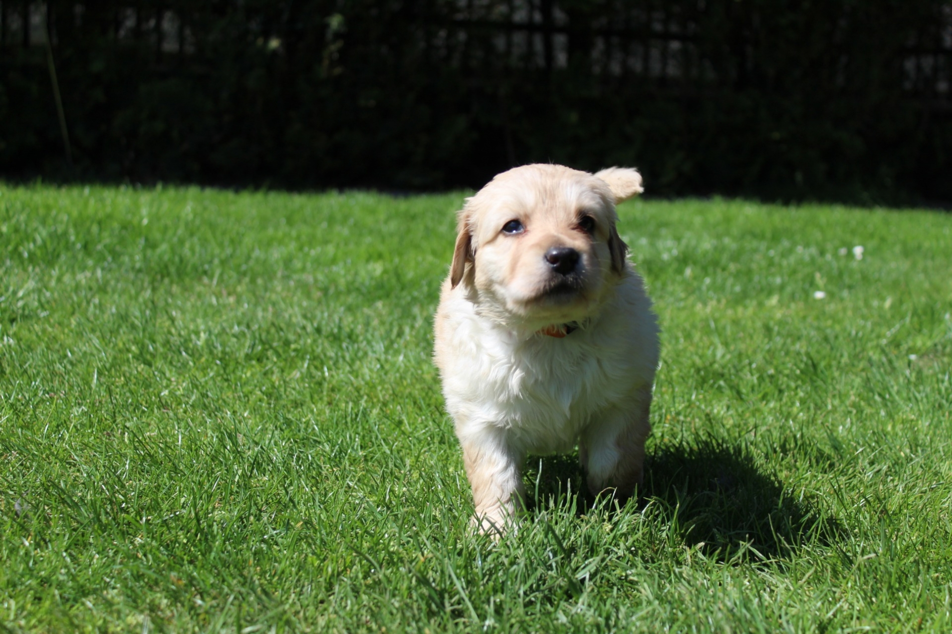 Ayrin Aimy Bafoco (2)-1