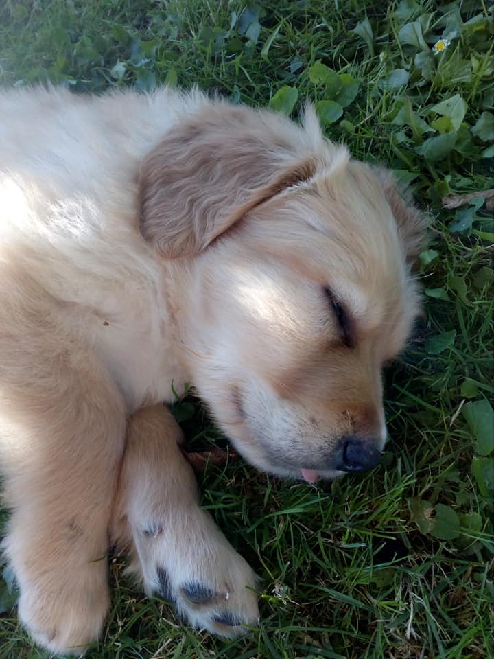 120802278_760901198024624_1035548149320739744_n