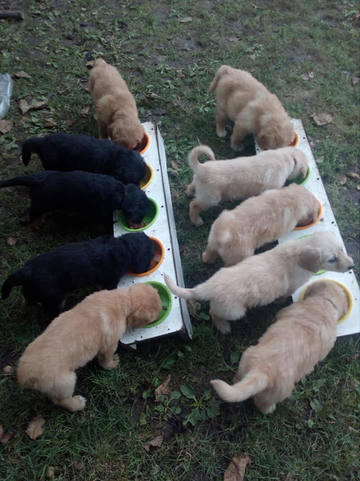 120814373_760901288024615_4565831474107039570_n