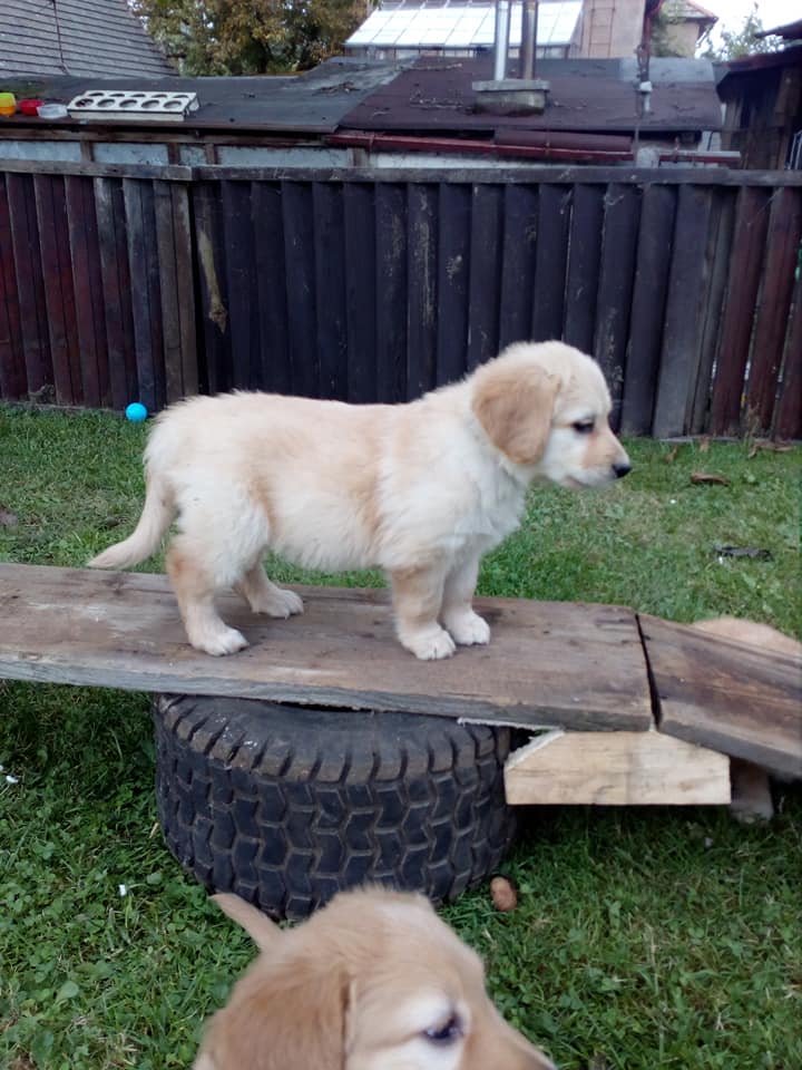 120998638_761667427948001_1051544558485212812_n