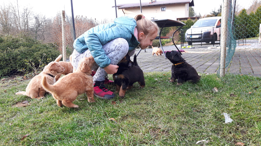 Hodowla_Oddany_Tobie_FCI-18