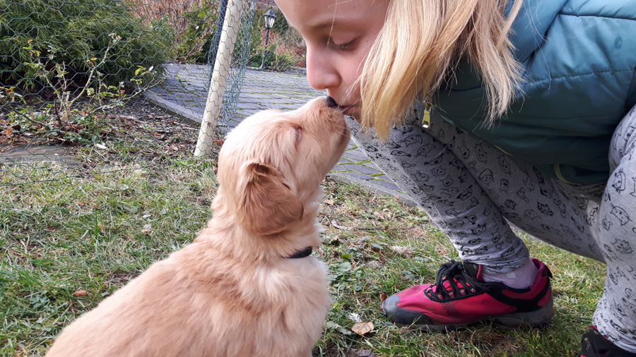 Hodowla_Oddany_Tobie_FCI-19