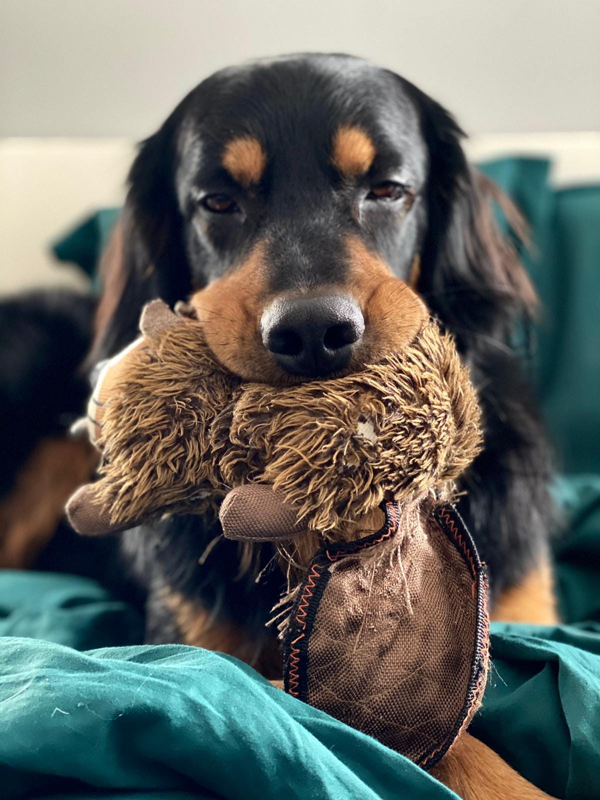 176546060_3917653344969981_6744967796169163229_n