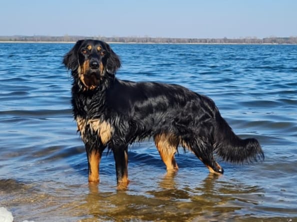 178716609_3938289476239701_7686061100230325792_n