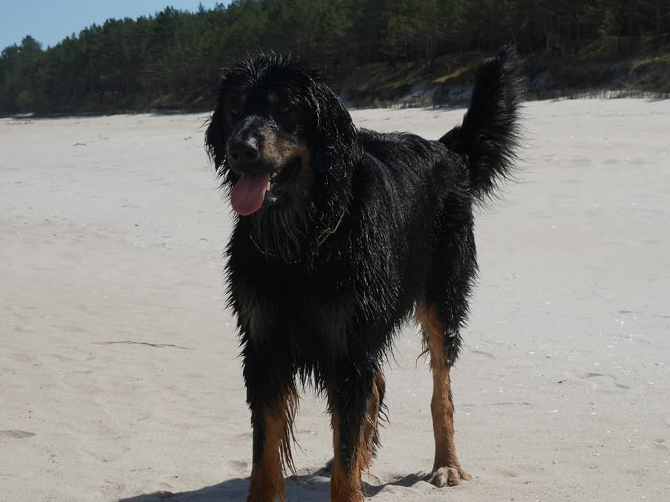 184183729_3976278632440785_5614967675808233008_n