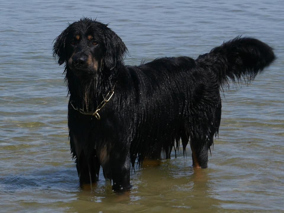 184612941_3976278109107504_6355996948806732192_n