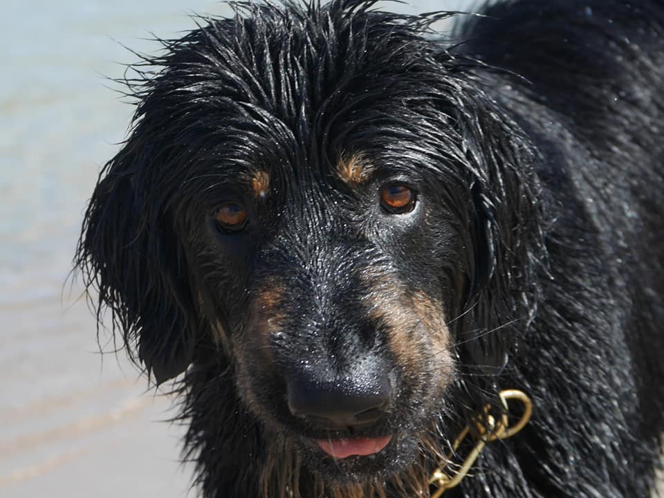 185046072_3976278389107476_5960639648502717811_n