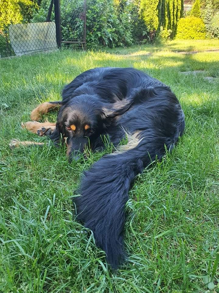 222249837_903074773754449_2667034872525456569_n