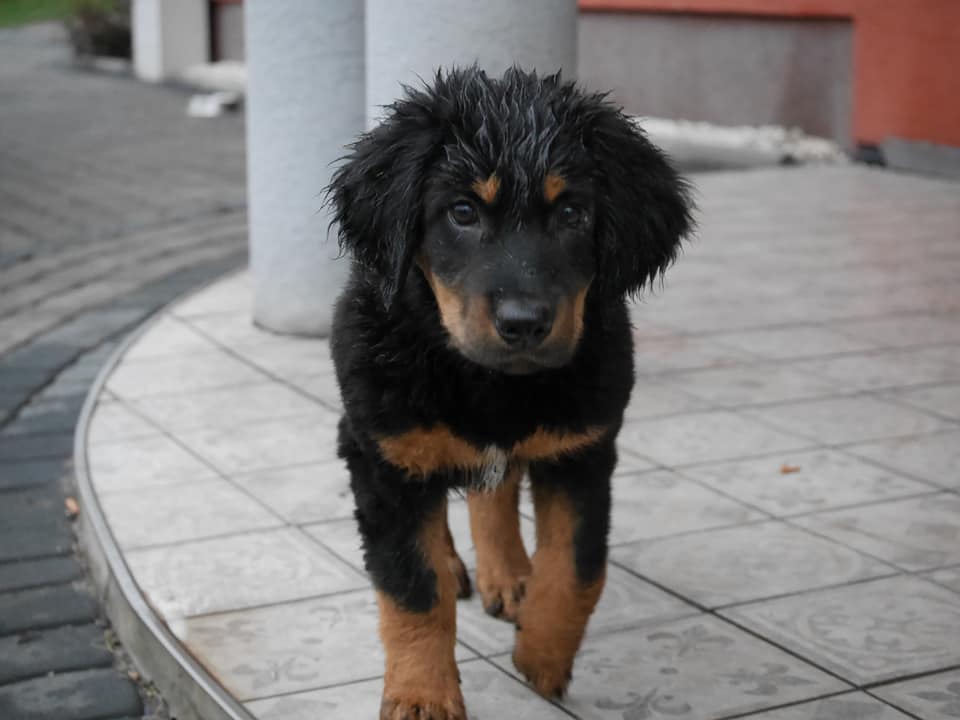 80050660_2606244312777564_7019928375191928832_n