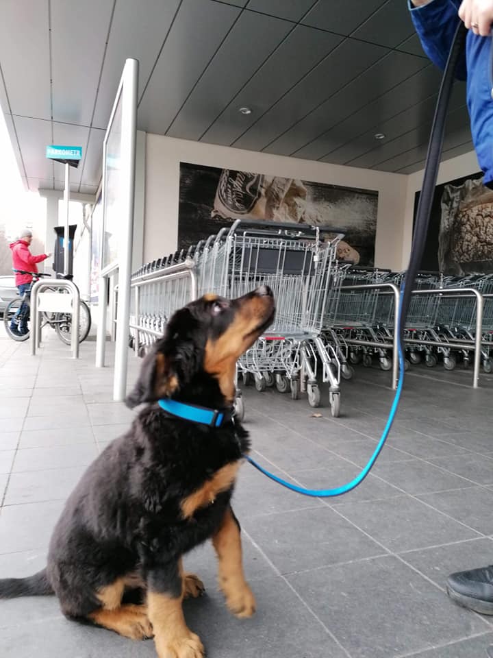 81262236_2625753324159996_1422098443760828416_n