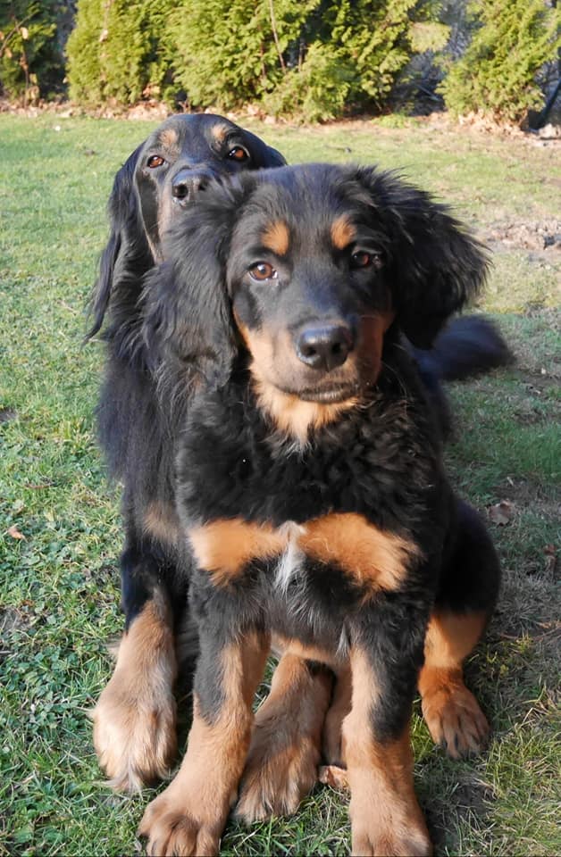 82021602_2632729373462391_1267502680784240640_n