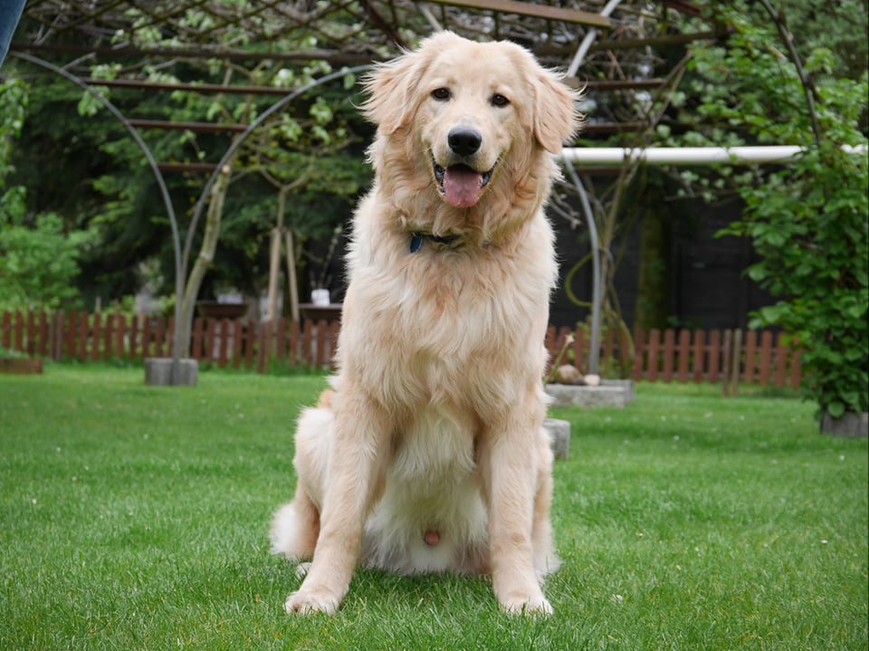 223738733_235481495135853_7892022887896241551_n