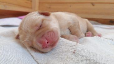 326130142_899585821166682_5951476474917055632_n