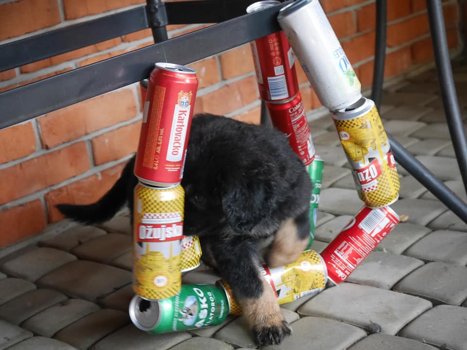 120528281_3347187555349899_6001329097517472178_n