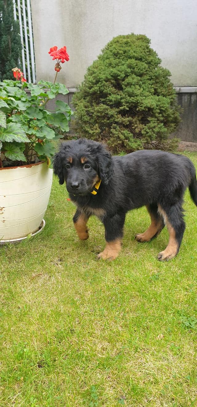 121267120_3390189121049742_3806130699662119966_o