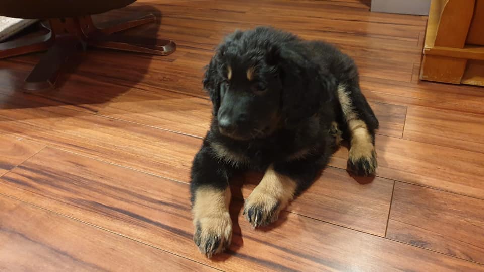 121440248_3390190144382973_5641365022420306006_n