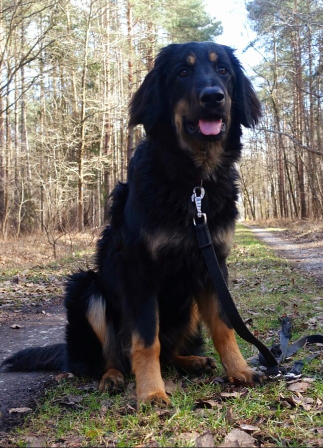 161668870_3813077888760861_4818505309364281692_n