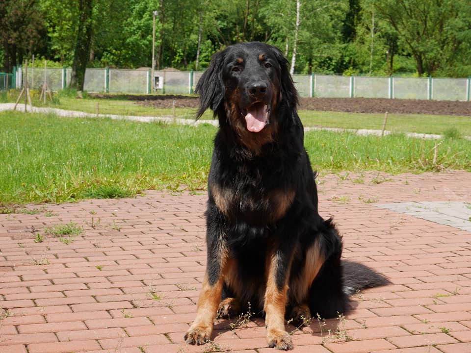 172655722_4018735044861810_6572054768608433415_n