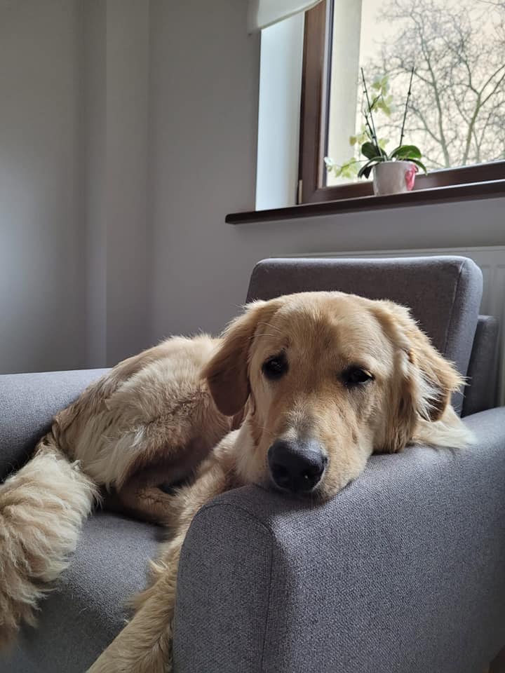 173958968_3905157082886274_7242400329794432421_n