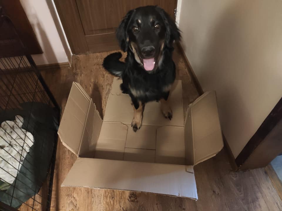 174383040_3905156839552965_8692874536023271369_n