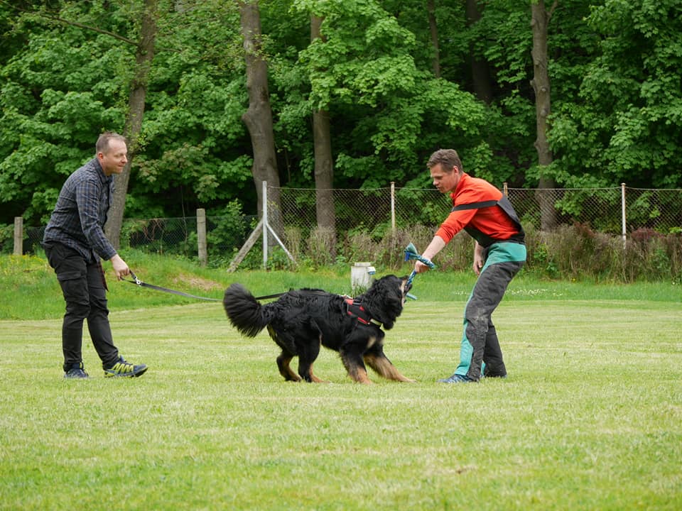 189660718_4016358545099460_3267875127580749141_n