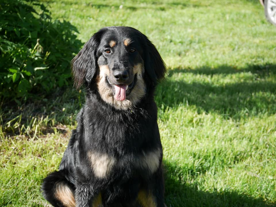 189711886_4021405017928146_2435978025780052610_n