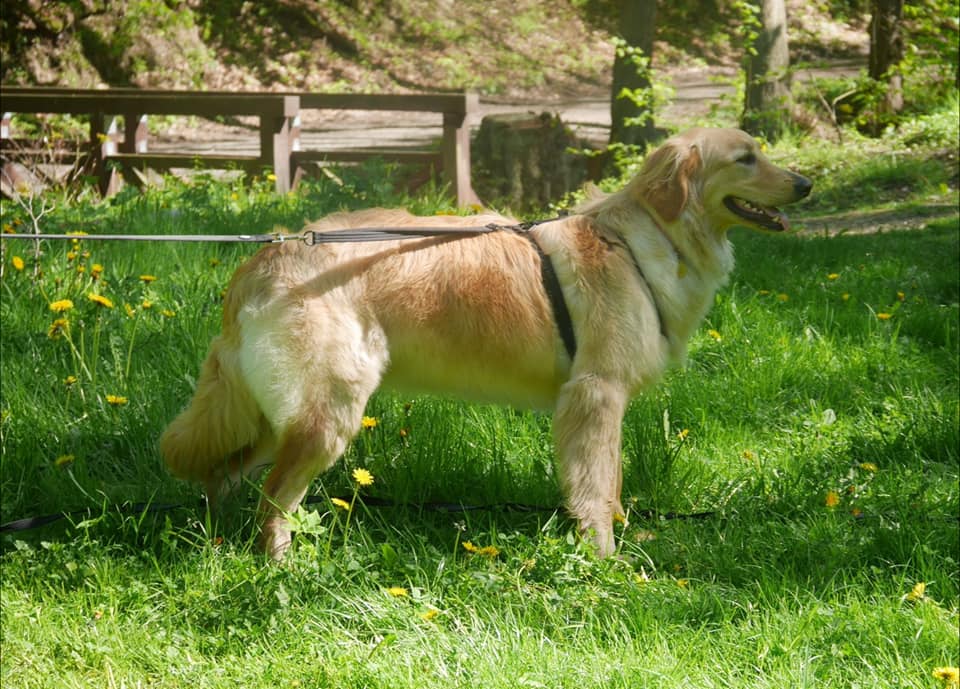 190508582_4019853318083316_873325597640791267_n