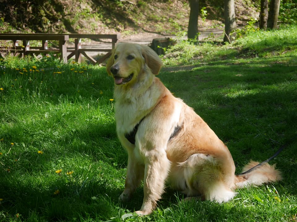 190864736_4019853528083295_511042086934727619_n