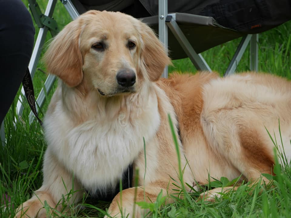 191067203_4019852724750042_6772629948875061262_n