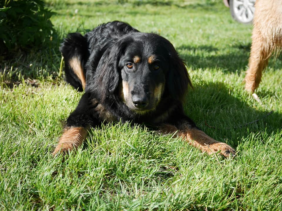 191399041_4021405201261461_8466567837865210666_n