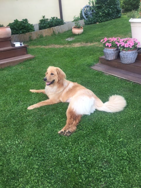 219413564_1273309489785310_8701633646310691019_n