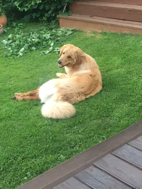 221260275_551690132541628_8925789883815309714_n