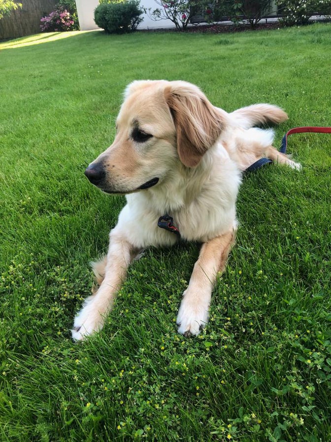 221747679_1011482189589774_1135853113502465823_n