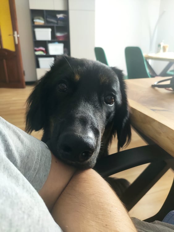 223884268_3513613035408036_5191291845839039400_n