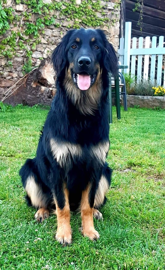 225547909_846602659601523_6218157314869446098_n