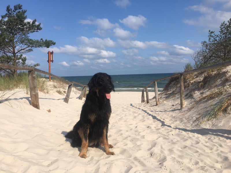 225978245_520169472625735_4836334031996921350_n