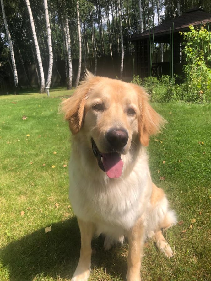 229426013_192576876221922_3494576627454721507_n