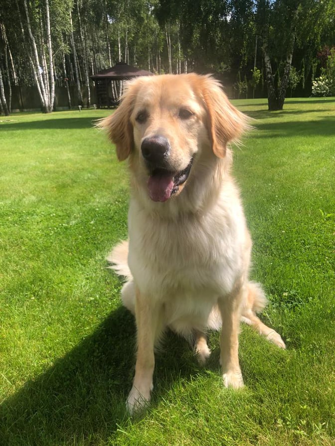 232053576_361668988662201_1907483472776395751_n