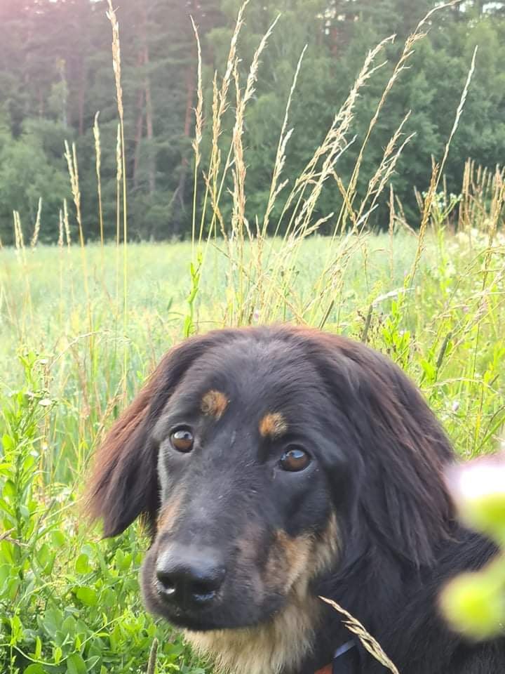 234786564_201395341958086_8670281200242794959_n