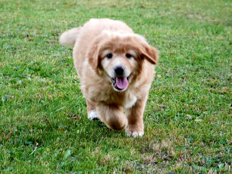 250085301_187671233548865_1864583854635513559_n