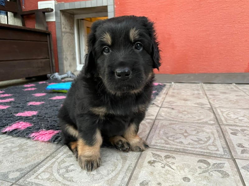 264749813_211589834499256_2988117353037669683_n