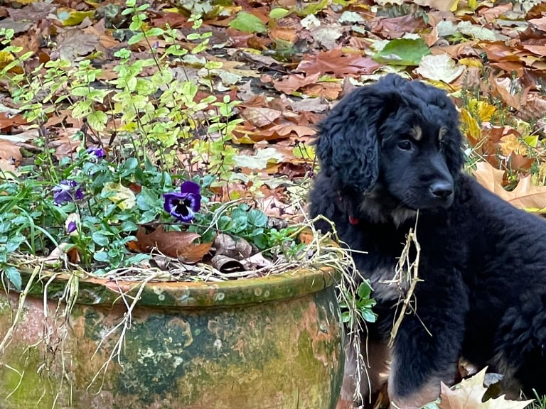 265083869_2733581100275264_446374154483725614_n