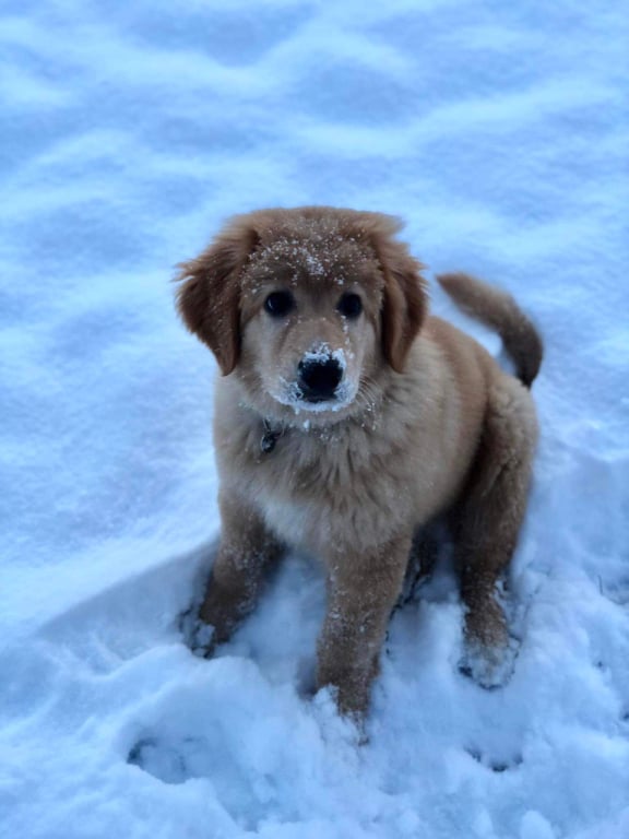 265419097_390396309547369_4814394659226485353_n