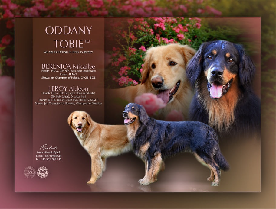 265485109_579339109831630_3280580644327484090_n