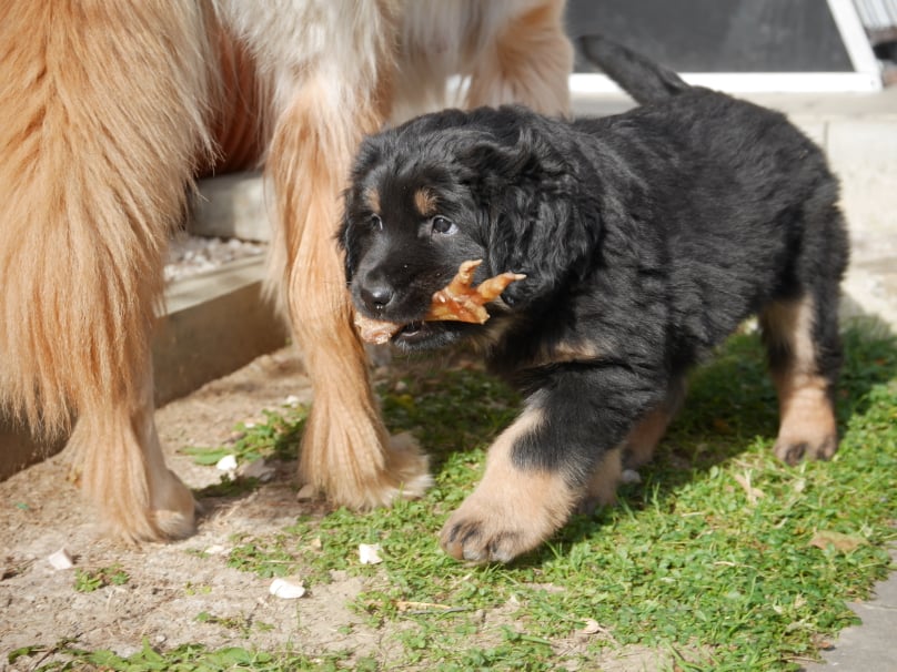 265788183_359878865901870_1901698122252471281_n