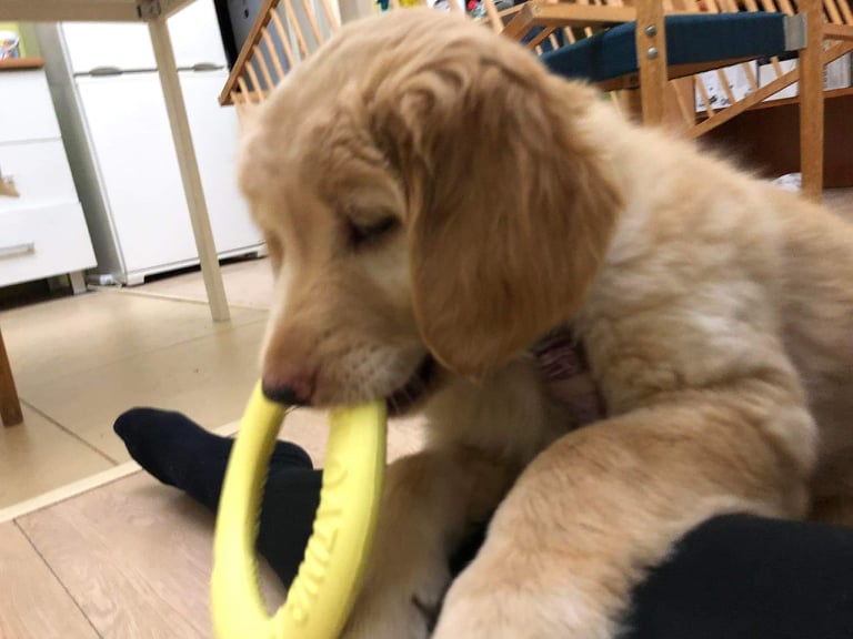 266739808_430869558746404_2850073568691940881_n